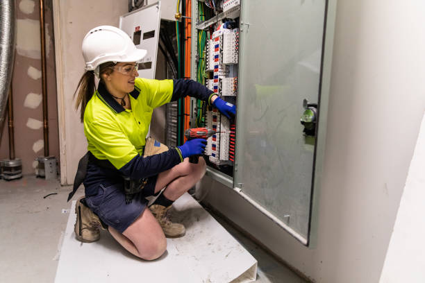 Best Electric Panel Repair  in Holland, TX